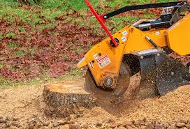 Best Lawn Maintenance Plans  in Folcroft, PA
